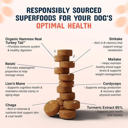 Pets Are Kids Premium Pet Mushroom Chews With Turkey Tail Extract, (60 Count)