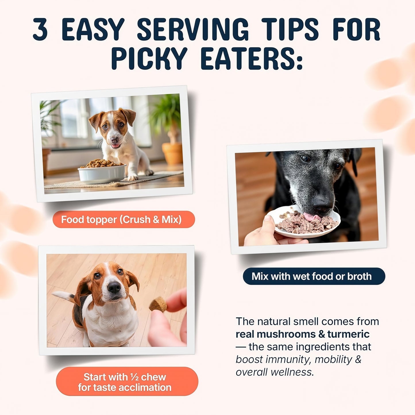 Pets Are Kids Premium Pet Mushroom Chews With Turkey Tail Extract, (60 Count)