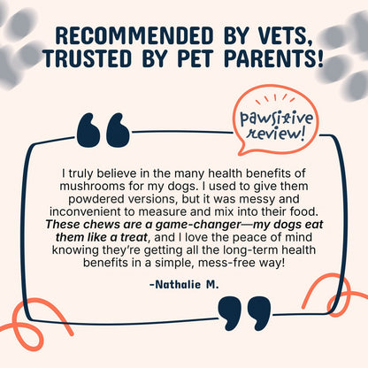 Pets Are Kids Premium Pet Mushroom Chews With Turkey Tail Extract, (60 Count)